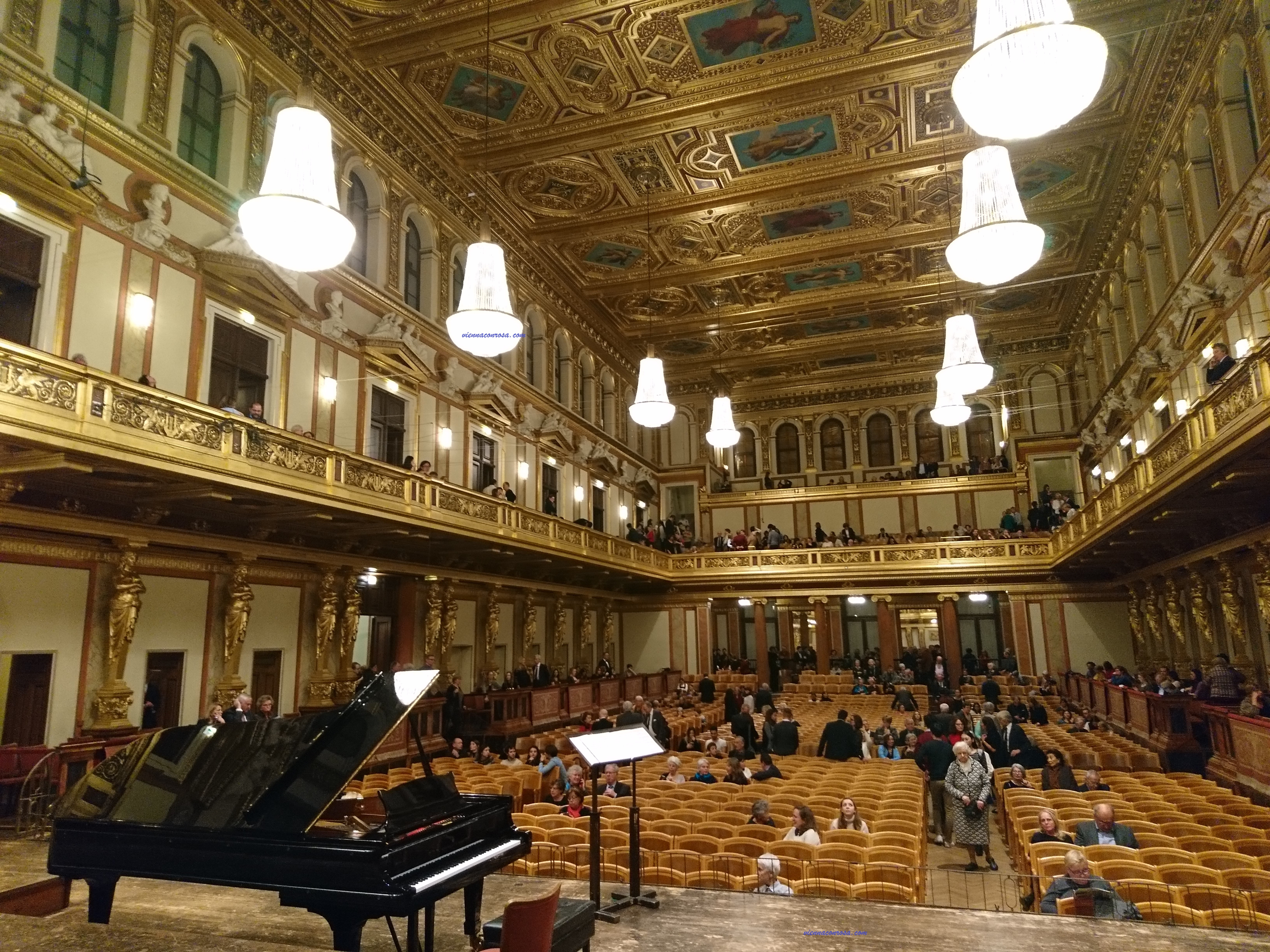 musikverein-visite-guidate-vienna-antonio-rosa